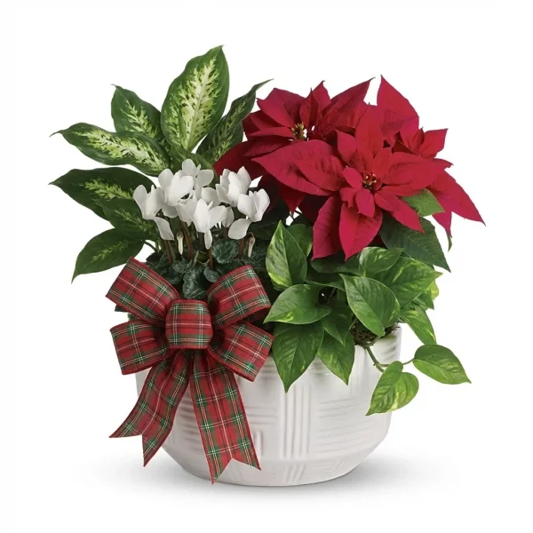 Holiday Welcome Basket