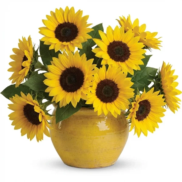 Amber Meadow Pitcher Bouquet