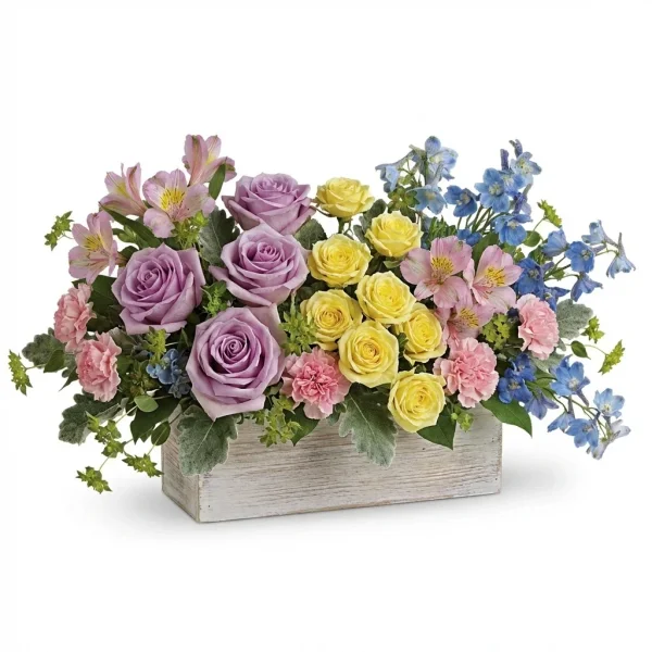 Soft Tide Arrangement