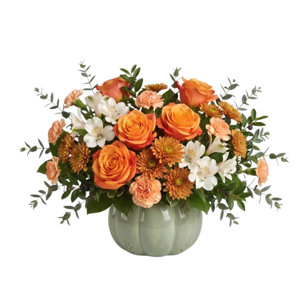 Sage and Apricot