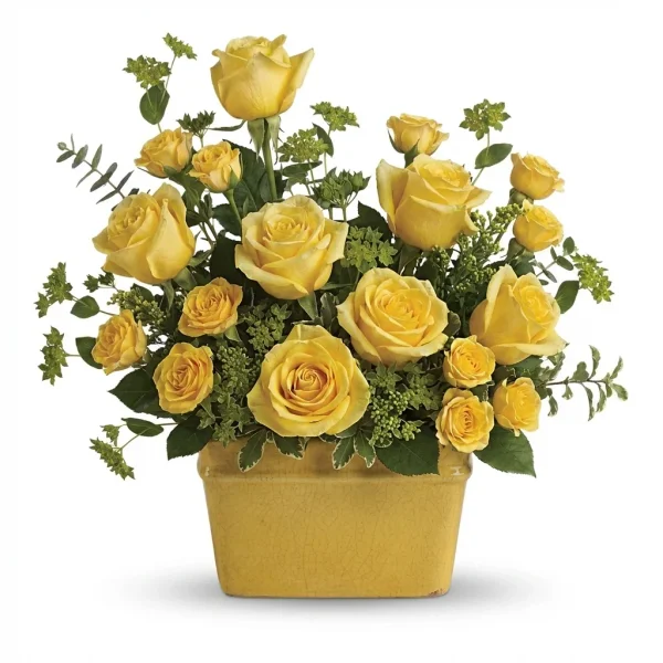 Rose Pitcher Delight