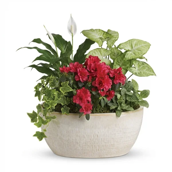 Fern Waltz Bouquet