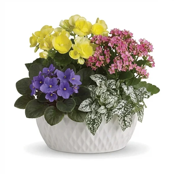 Fern Charm Basket