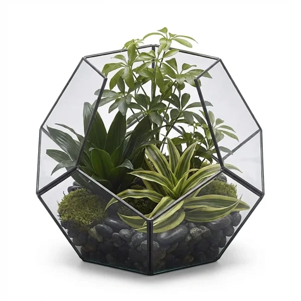 Dove Aura Terrarium