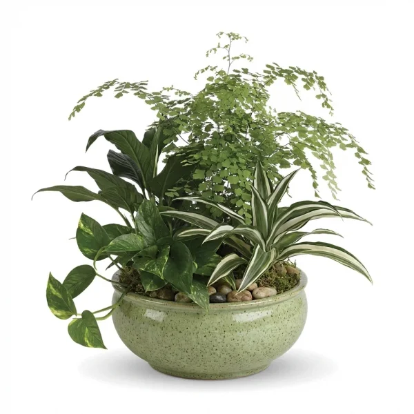 Canopy Vista Planter
