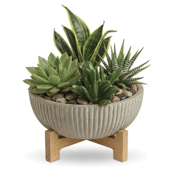 Prairie Dwelling Desert Garden