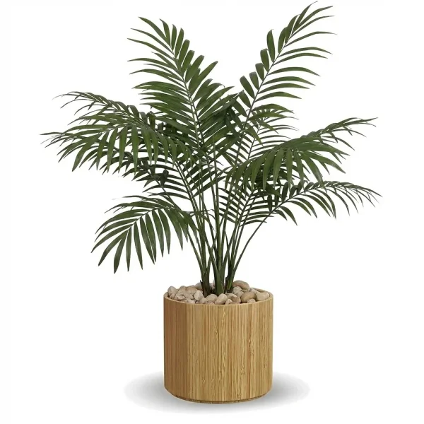 Gentle Harbor Houseplant